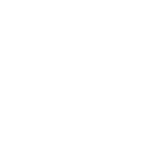 実績