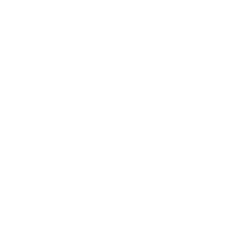 実績