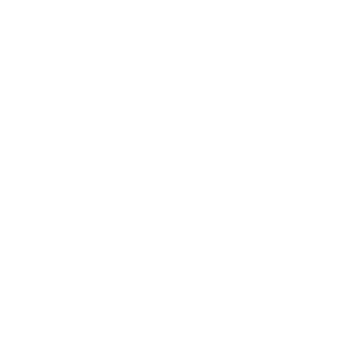 実績