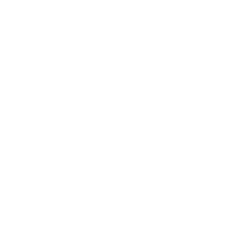 実績